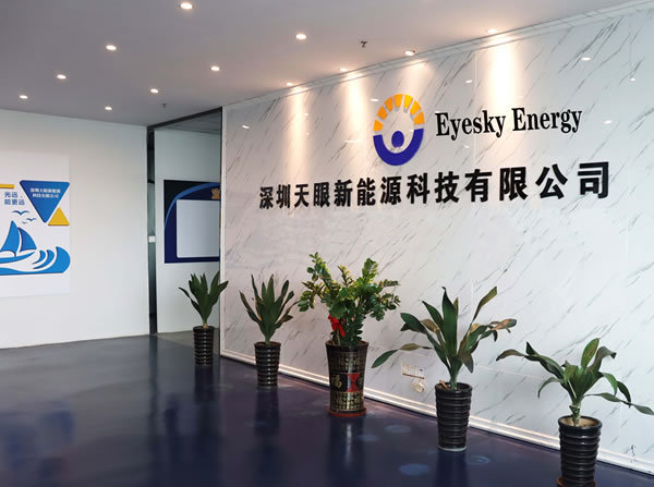 Company profile