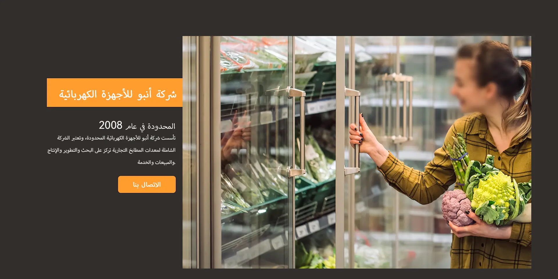 شركة أنبو للأجهزة الكهربائية