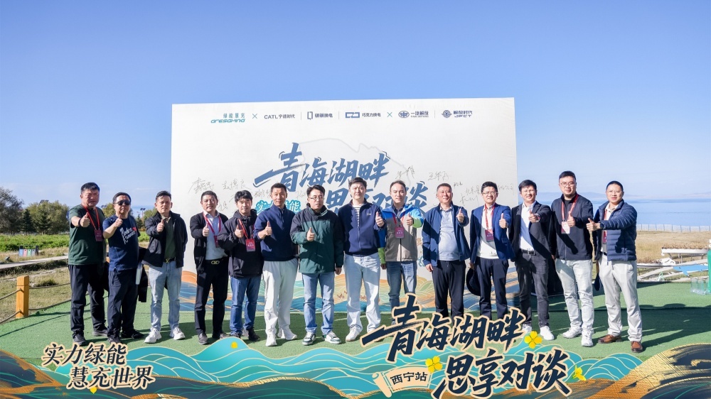 实力绿能 慧充世界 | 智慧点亮丝路，绿色照见未来