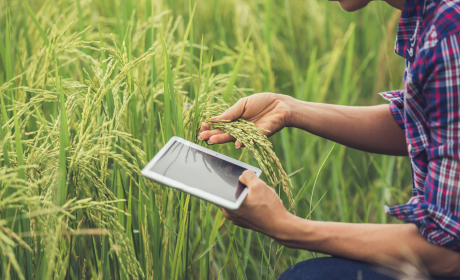 Agricultura inteligente