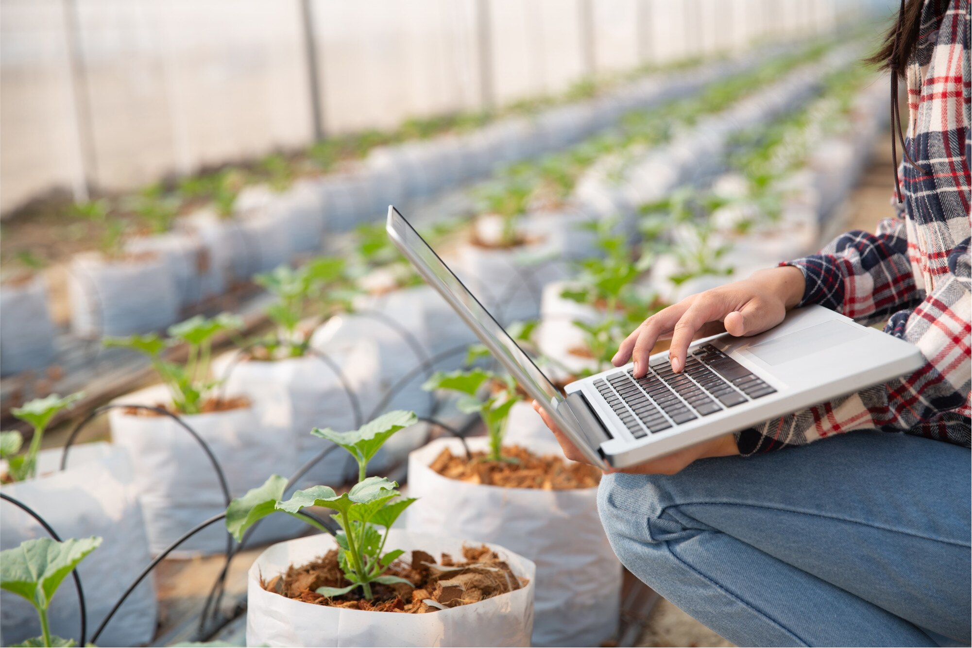 Smart Agriculture