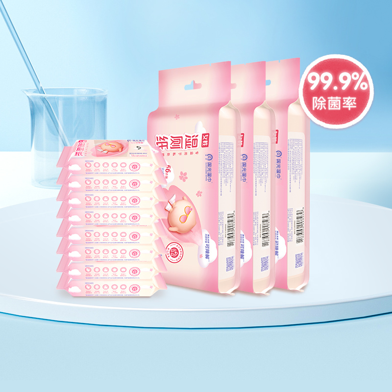 女性湿厕纸