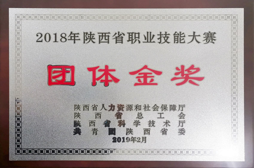 2018年陕西省职业技能大赛团体金奖