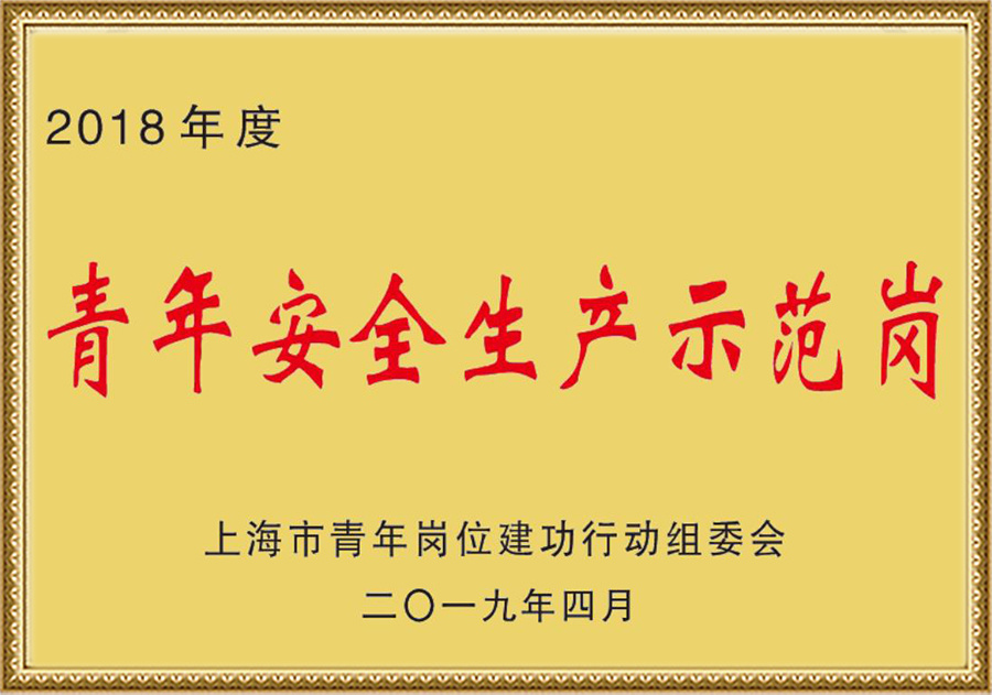 上海市品牌引领示范企业