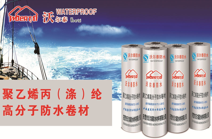高分子卷材系列產品發布，引領行業新風向