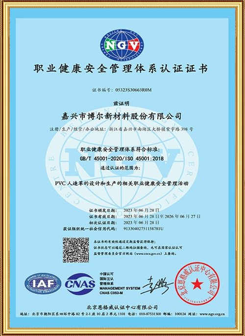 职业健康安全管理体系