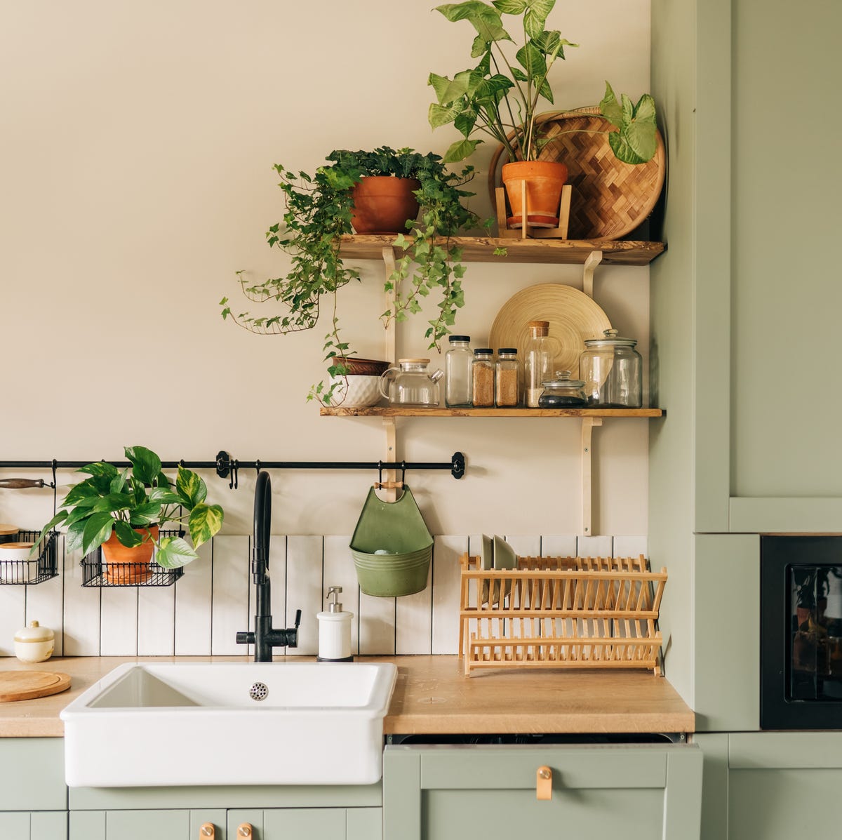 Transform Your Kitchen with Indoor Plants Decor