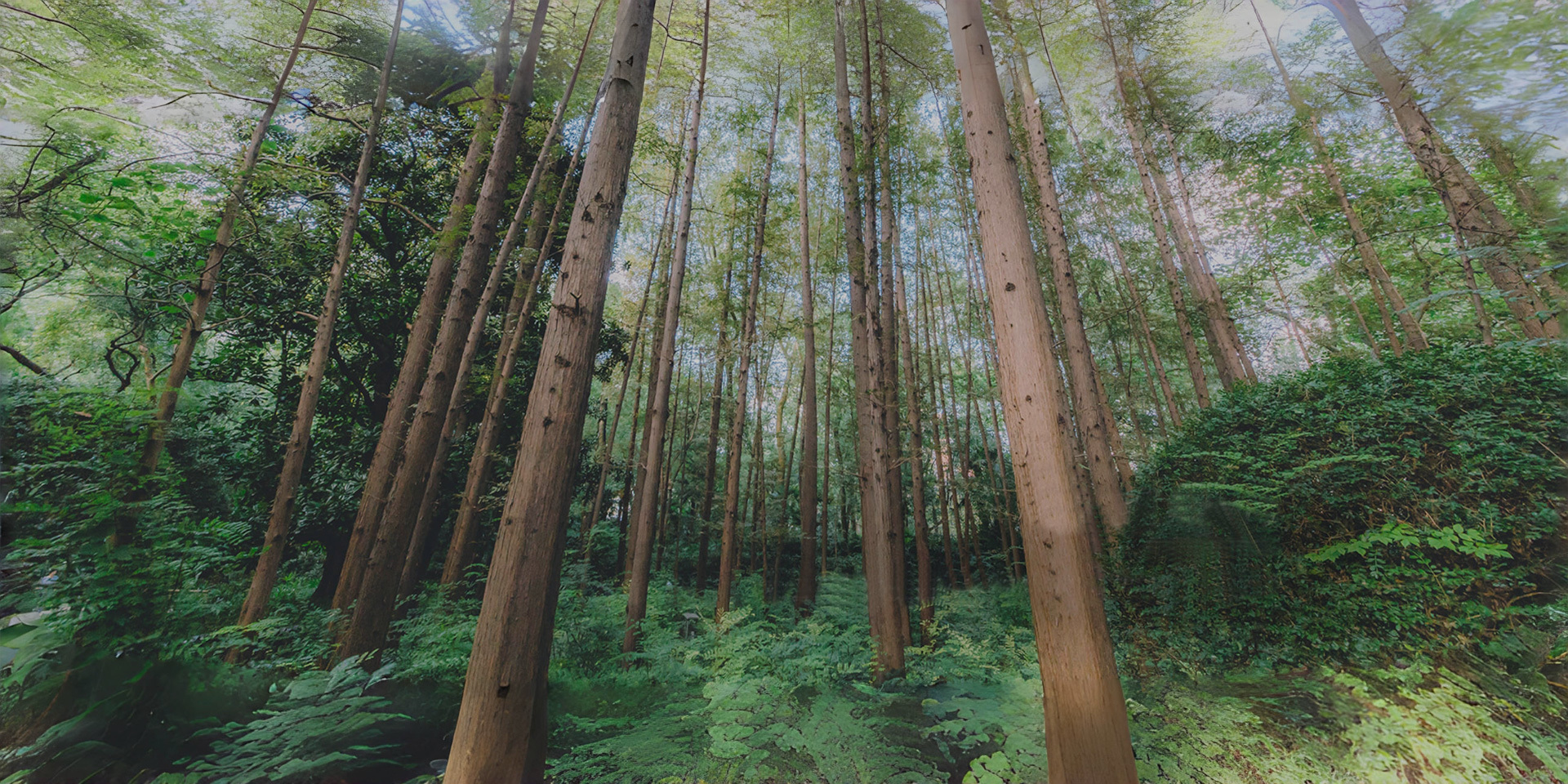 Wood Lovers