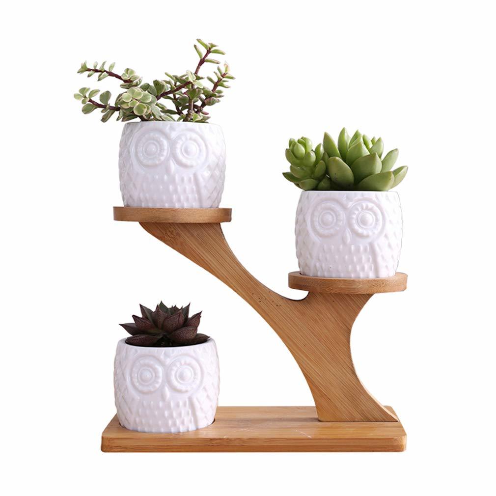 Plant Stand HPJ-006