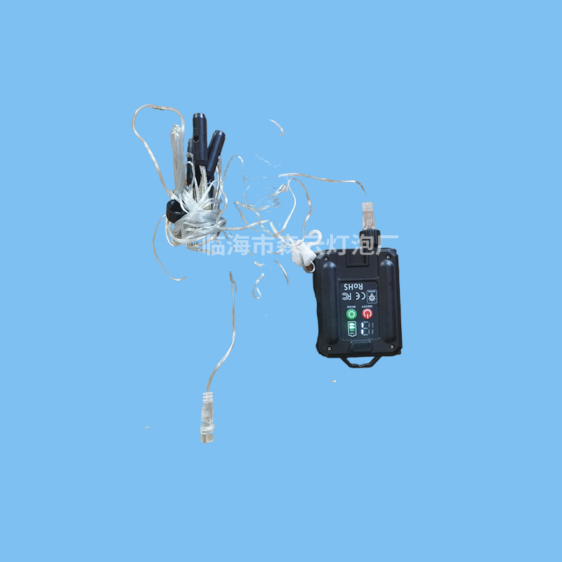 Plug