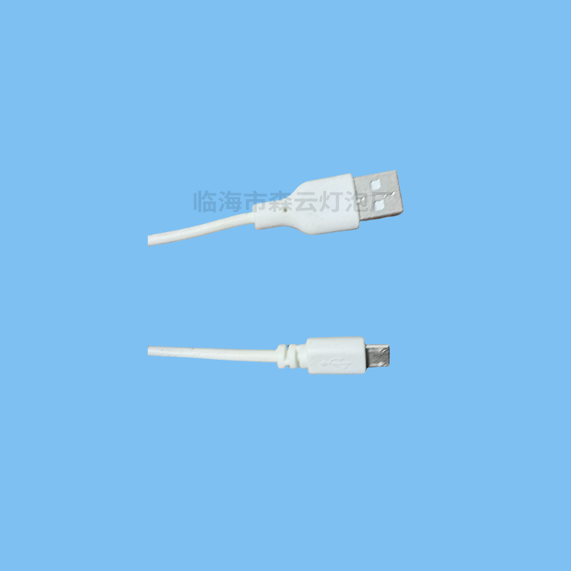Plug