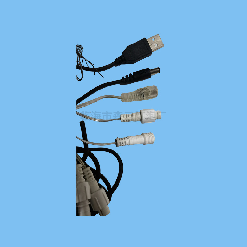 Plug