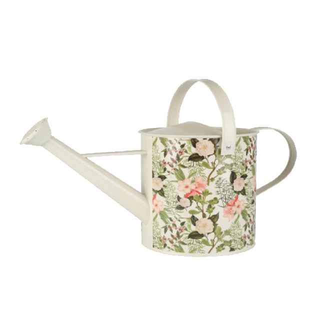 Stylish Metal Garden Watering Can_ Modern Design for Your Outdoor Planting Needs