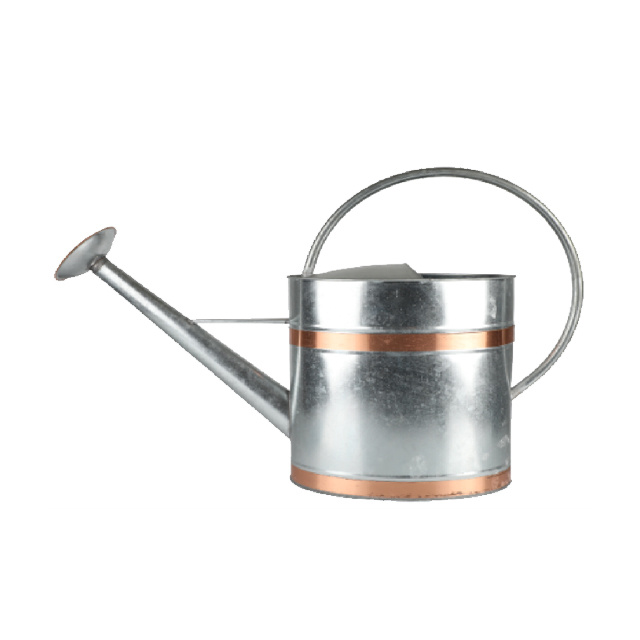 Eco-Friendly Metal Watering Can_ High-Quality Outdoor Garden Tool for Plant Care