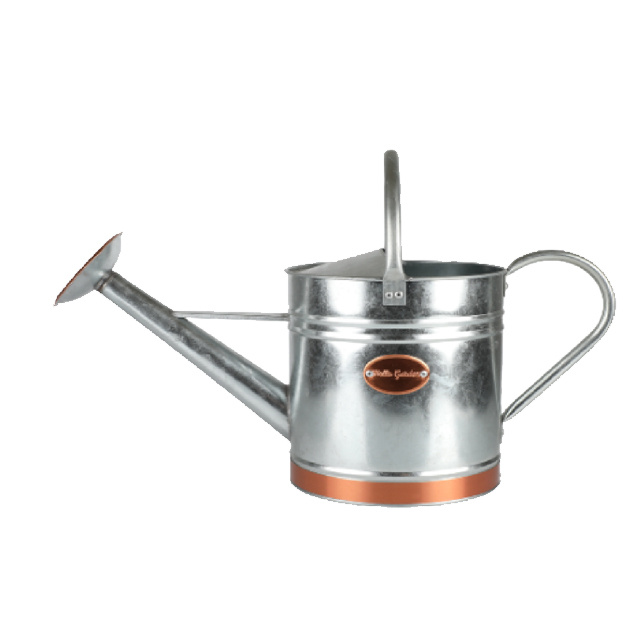 Modern Outdoor Garden Watering Can_ Durable Metal Design for Planters