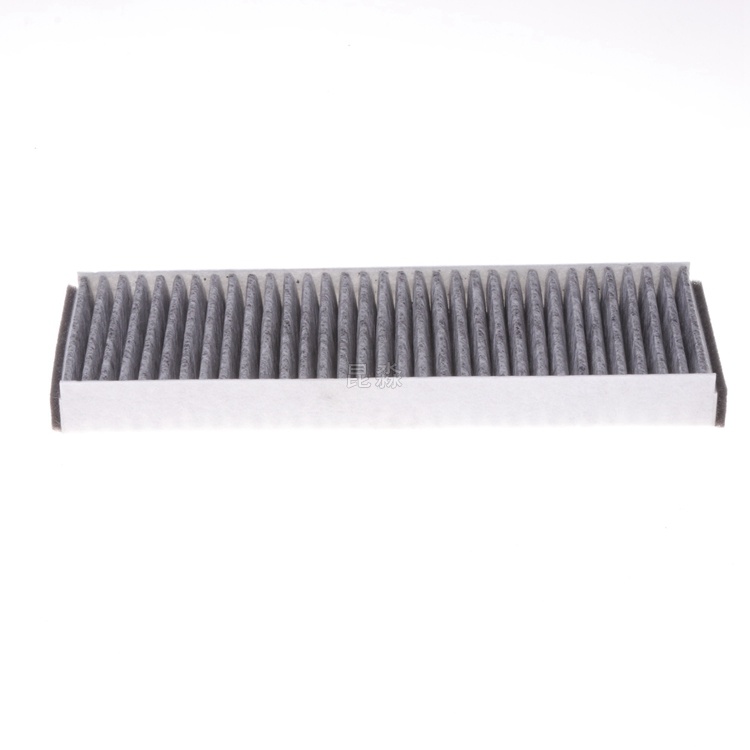 Audi A6l Built-In Air Cabin Filter - Double-Sided Charcoal