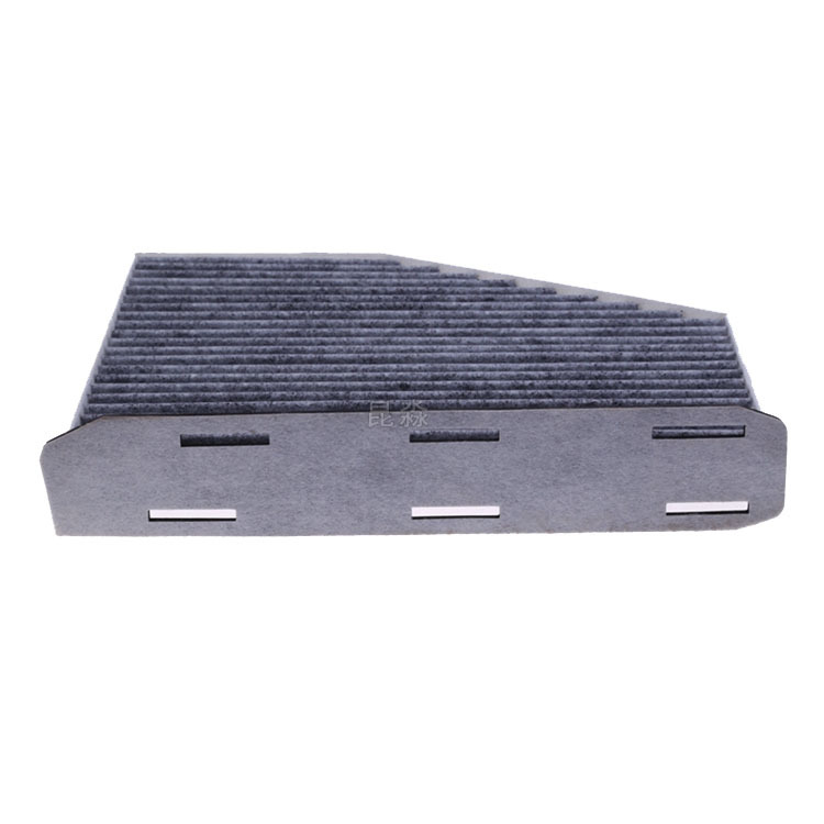 Pentium B30 Air Cabin Filter Element - Carbon