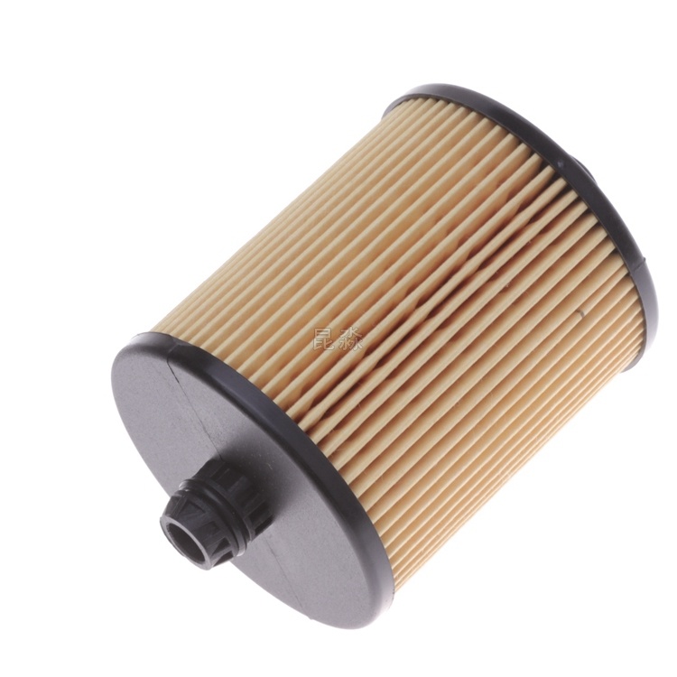 Roewe 750 1.8 2.5 V6 Fuel Filter Element
