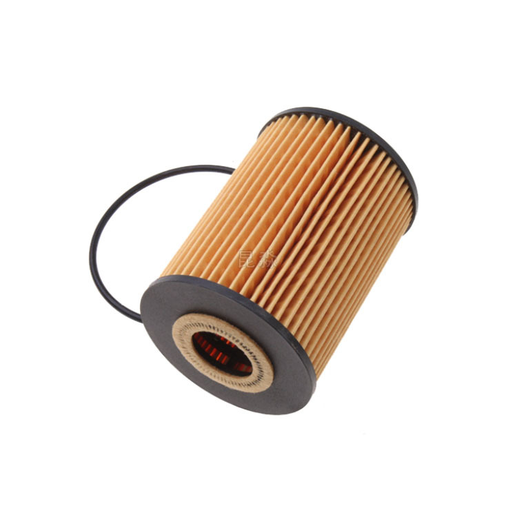 Dongfeng Yufeng A08 ZD30 Ruiqi 3.0T Oil Filter