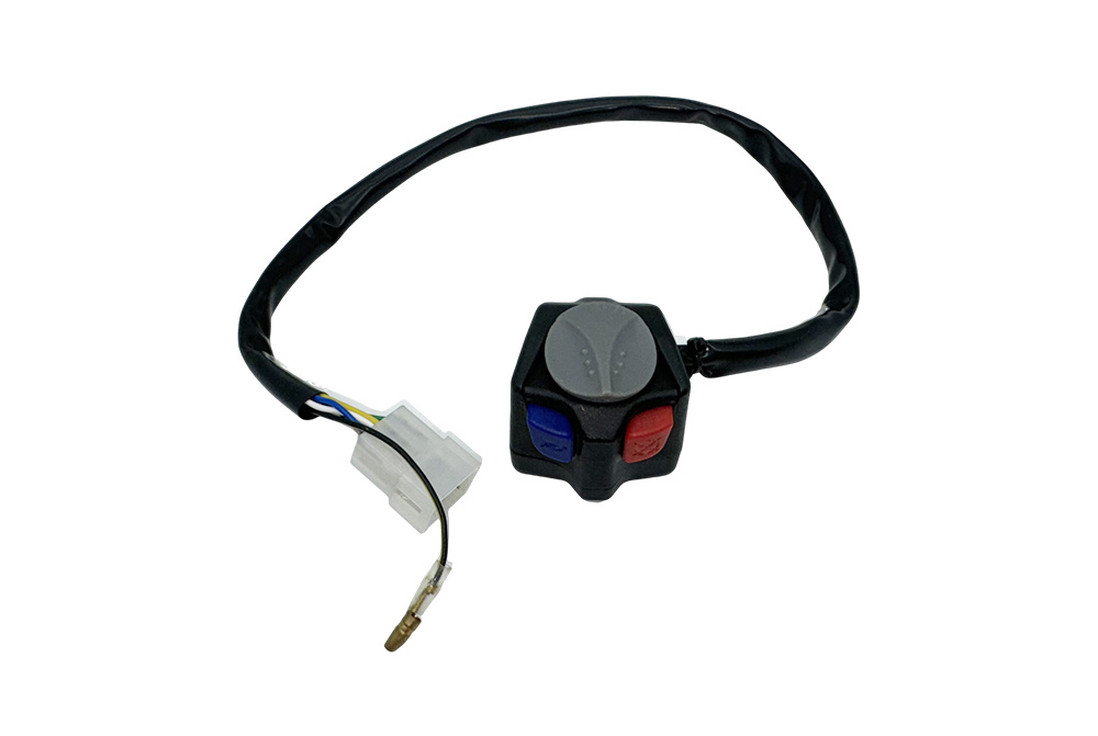Combination switch