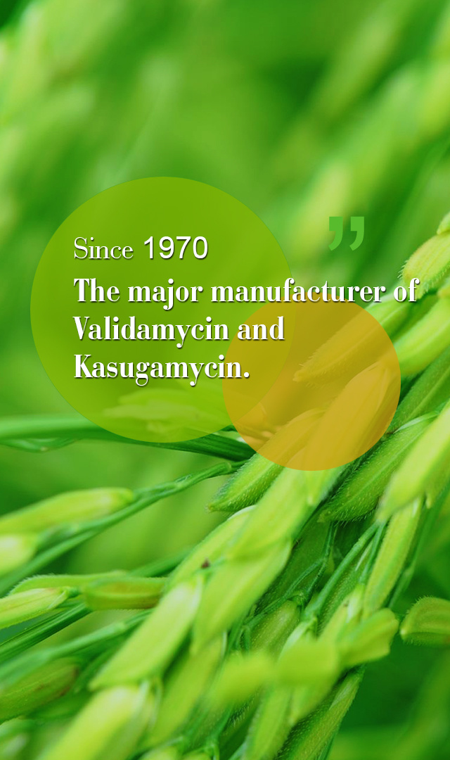 Zhejiang Tonglu Huifeng Biotechnology Co., Ltd