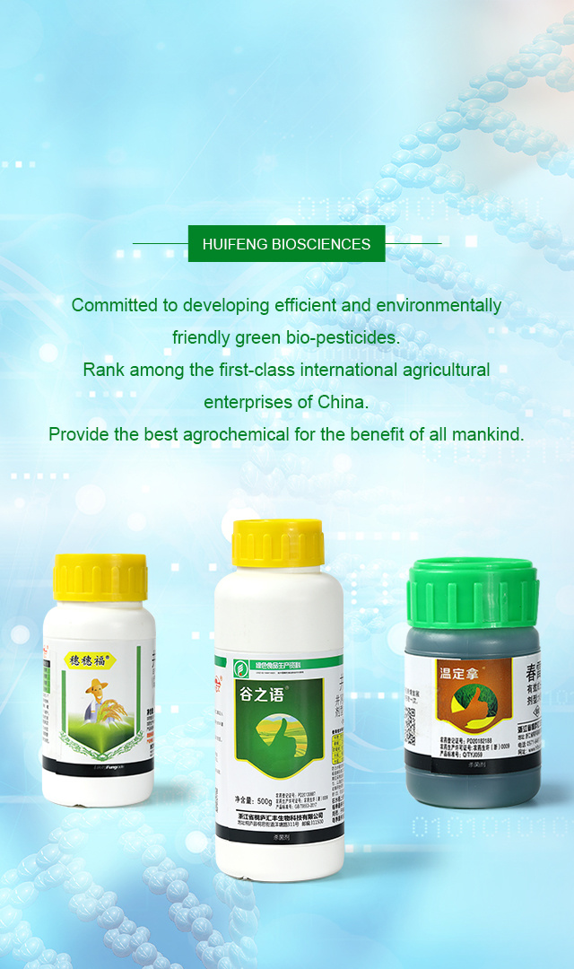 Zhejiang Tonglu Huifeng Biotechnology Co., Ltd