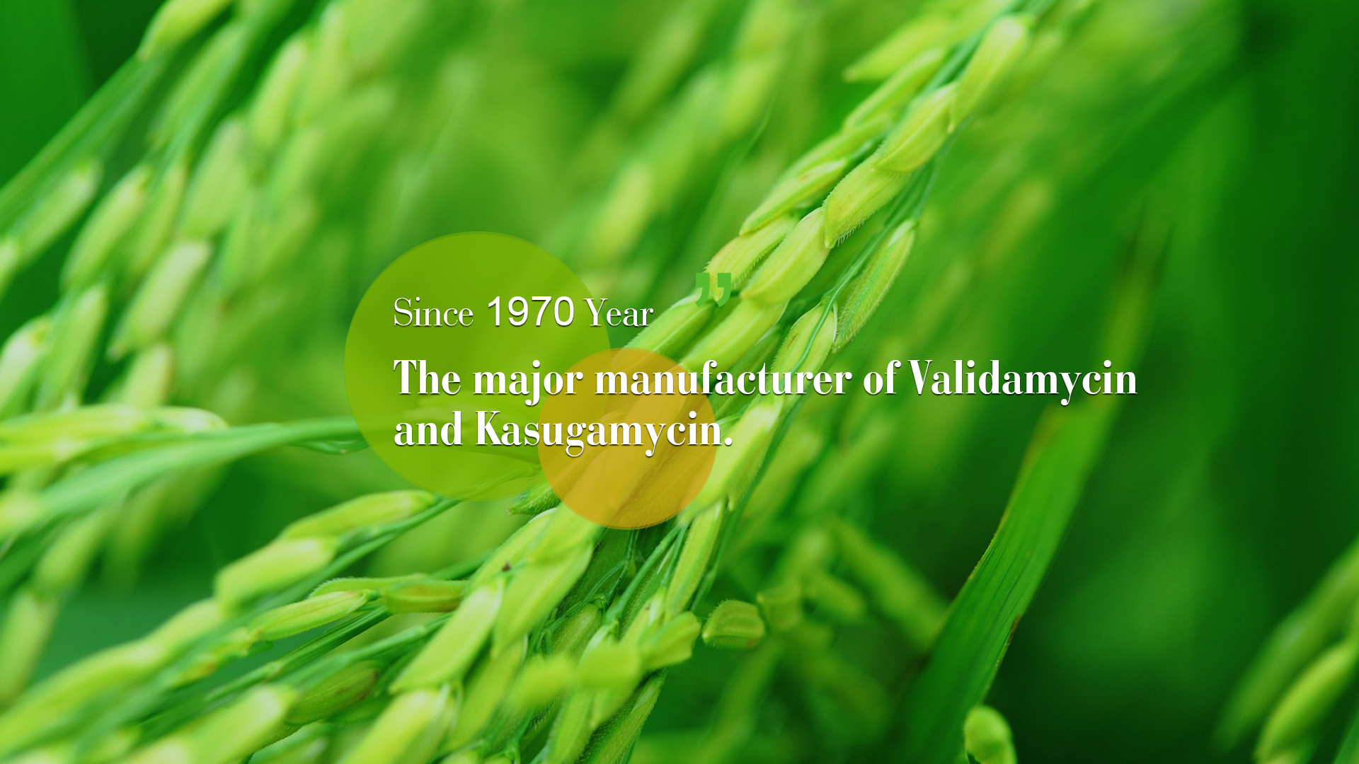 Zhejiang Tonglu Huifeng Biotechnology Co., Ltd