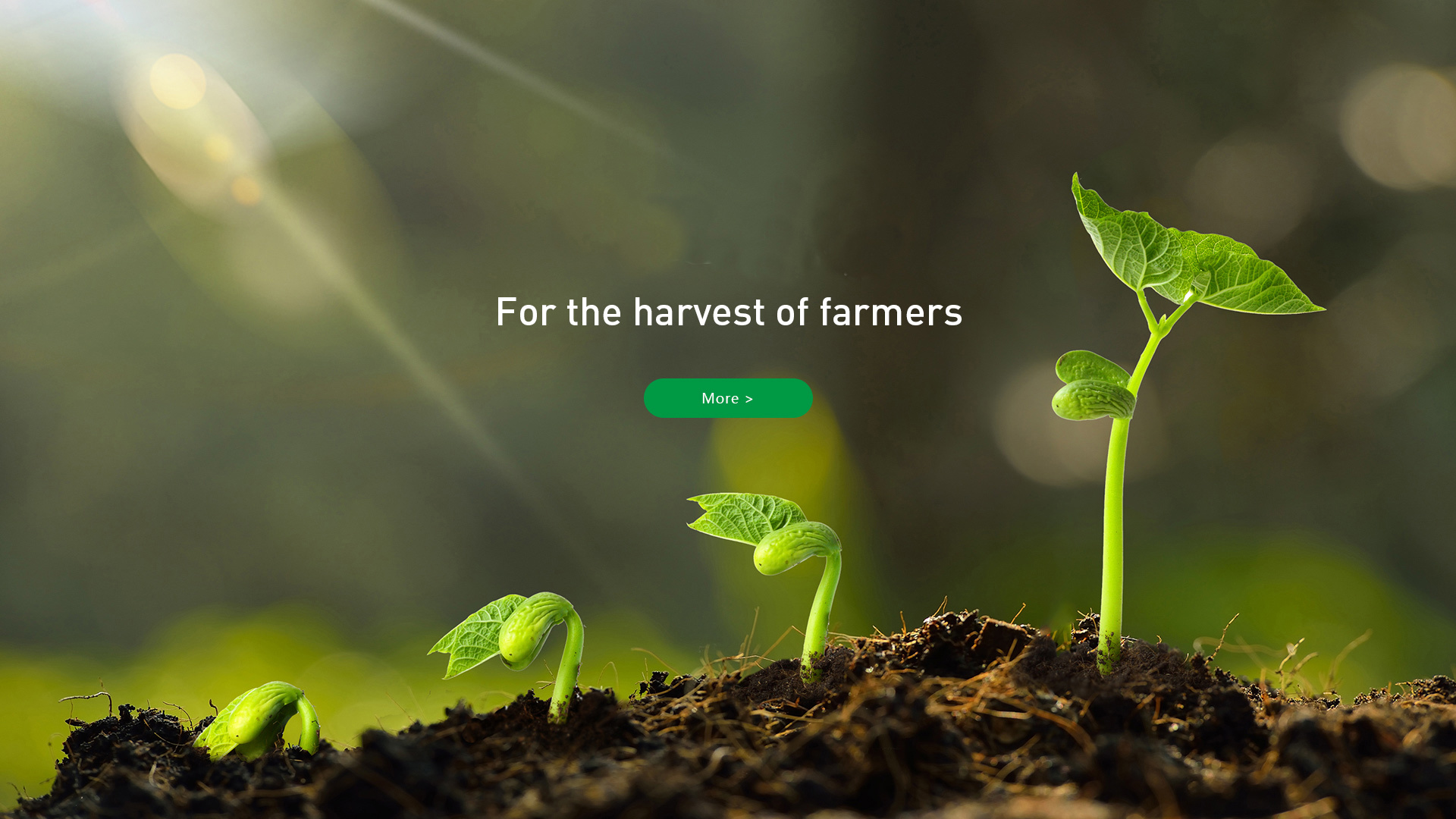 Zhejiang Tonglu Huifeng Biotechnology Co., Ltd