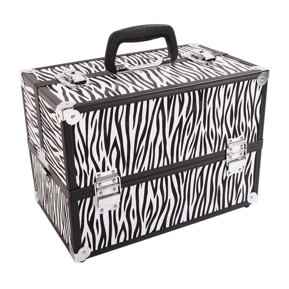 Professional Travel Cosmetic Organizer Aluminum Makeup Train Case Jewel