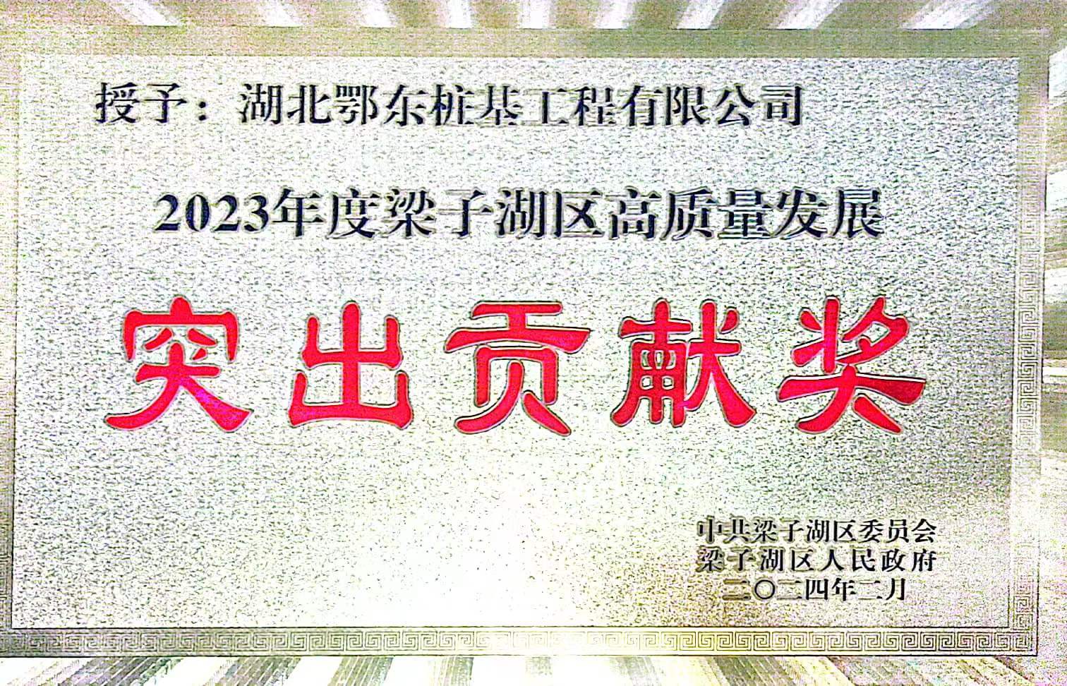 梁子湖區(qū)突出貢獻獎