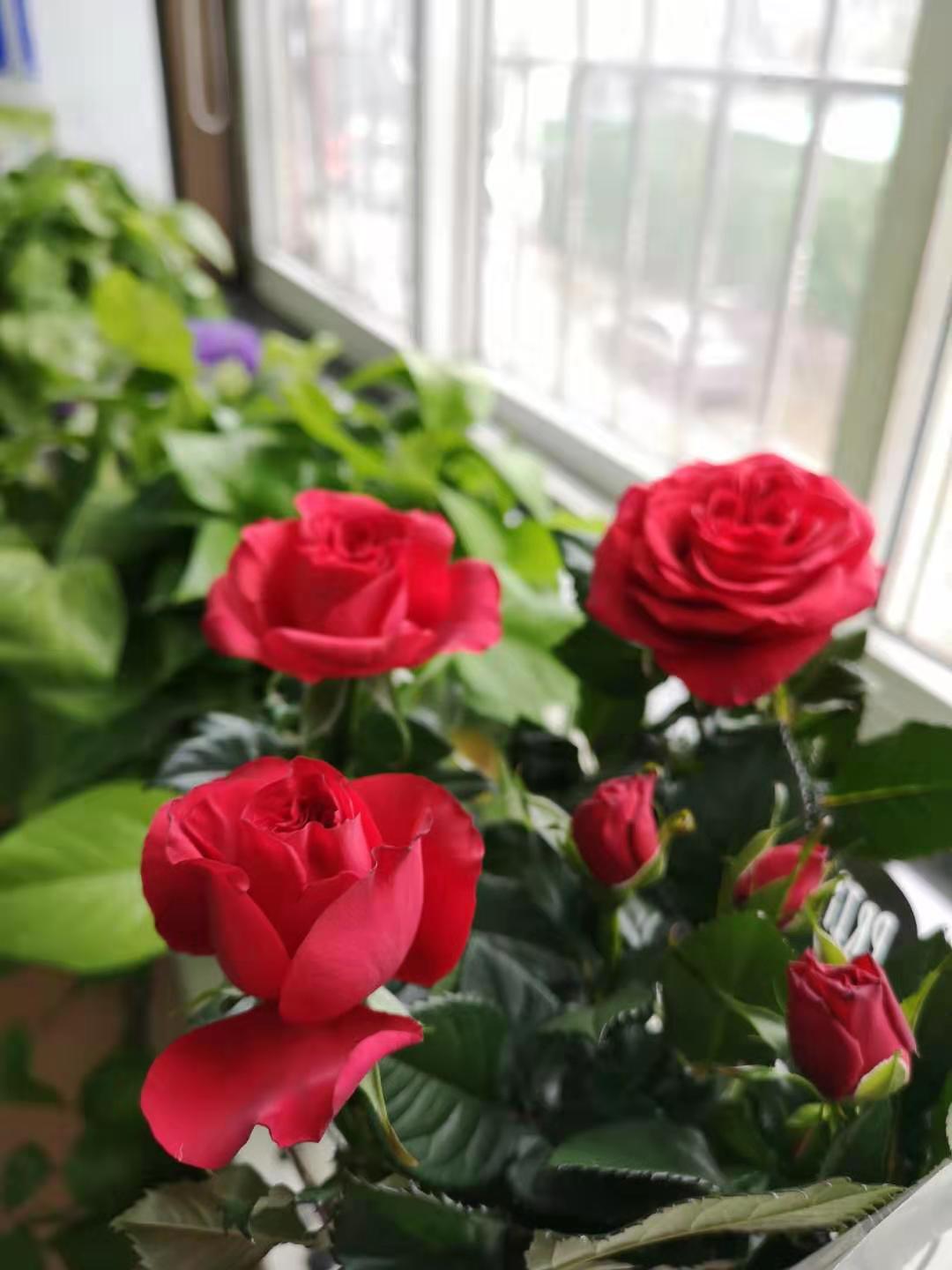三八女神節(jié)，遇見(jiàn)最美的自己