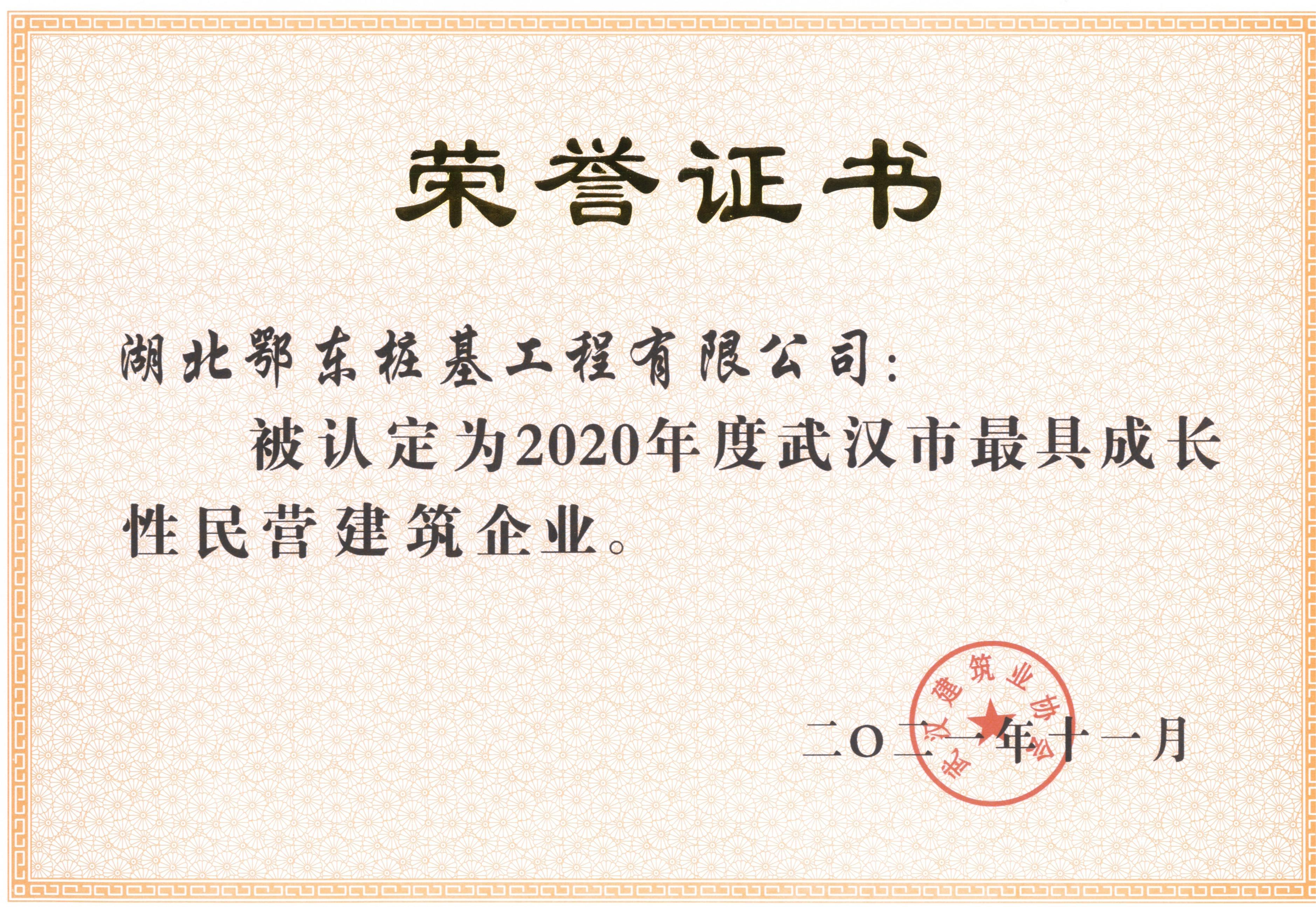 2020年最具成長(zhǎng)性民營(yíng)企業(yè) 2020年最具成長(zhǎng)性民營(yíng)企業(yè)