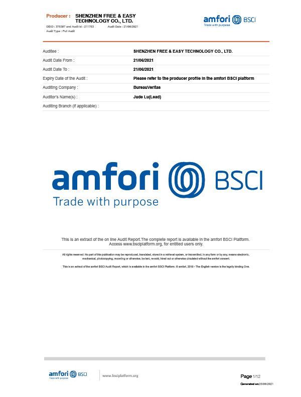 BSCI - SummaryAuditReport