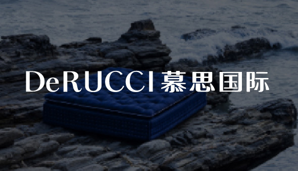 DeRUCCI International