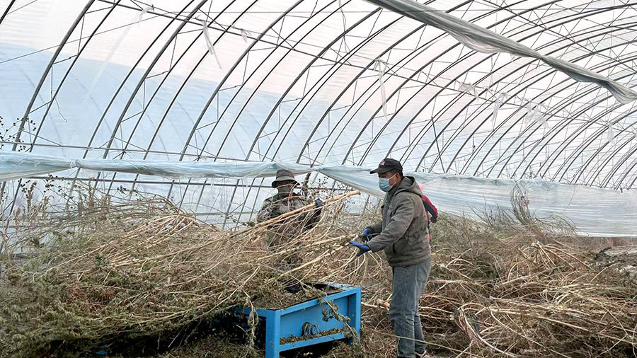 The harvest of labor and teamwork