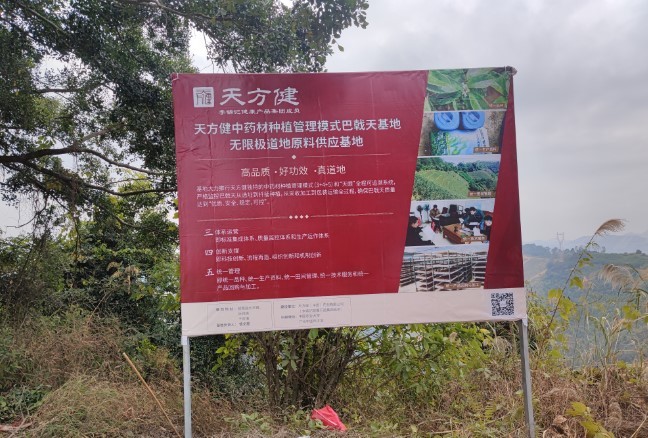 喜報：熱烈祝賀我司巴戟天入選“粵字號”農(nóng)業(yè)品牌目錄