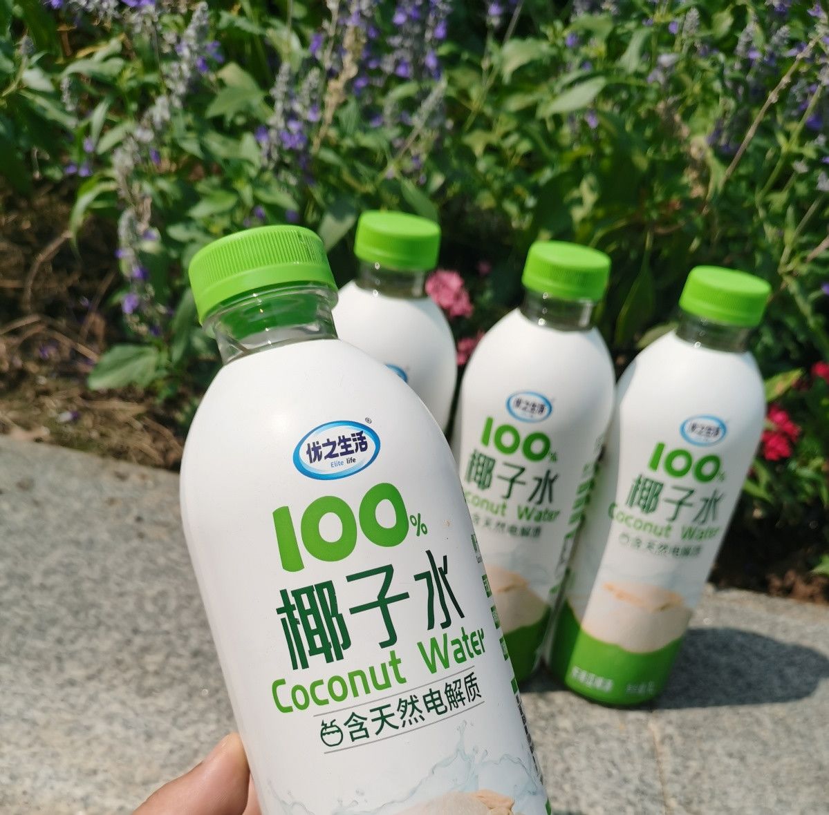 優(yōu)之生活椰子水