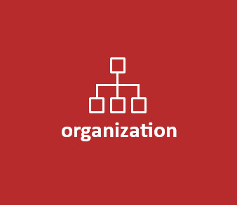 Organizational Structure