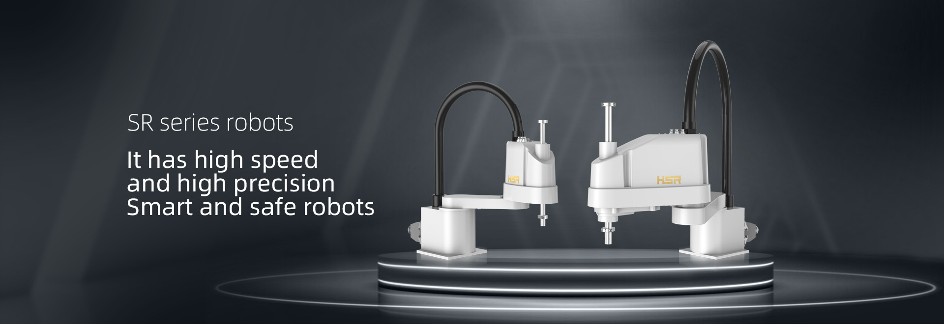 Wasu Robot