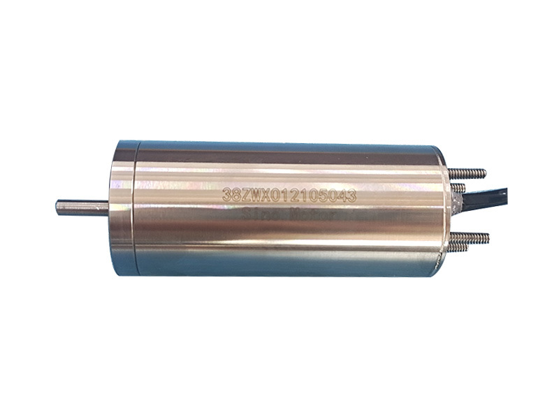 High temperature motor