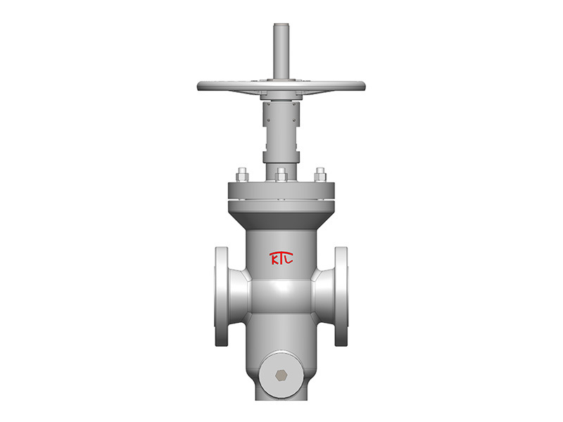 CG type regulating plate gate valve