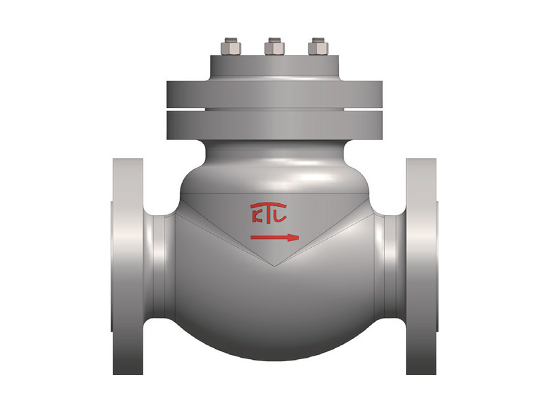 Swing check valve