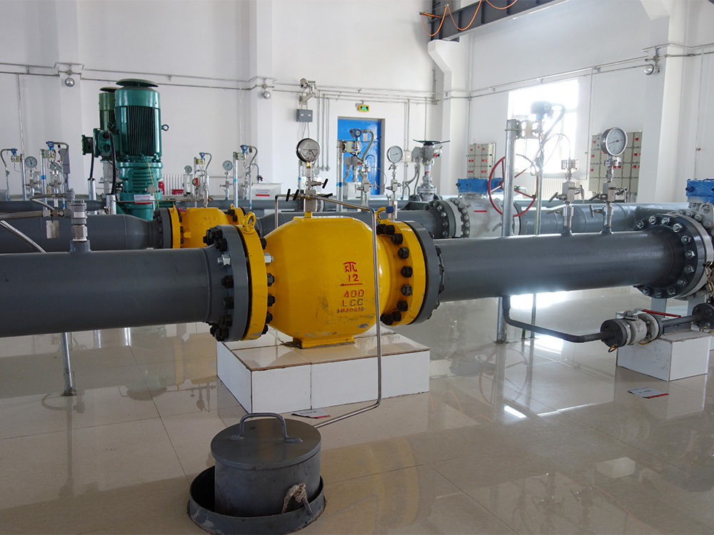 Water hammer relief valve localization industrialization operation test (Changchun)