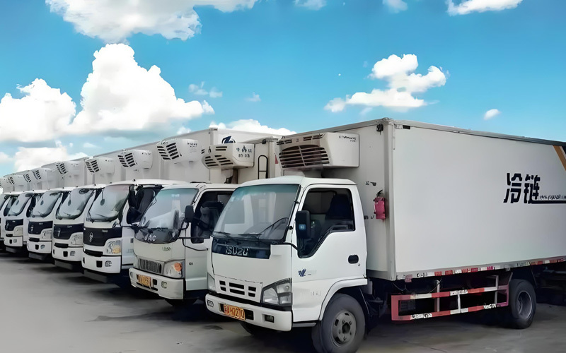 Cold chain logistics