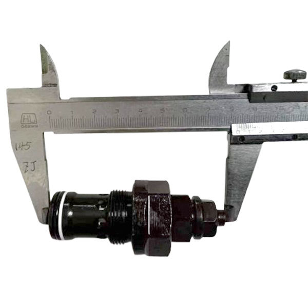 Loader Spare Parts Excavator Spare Parts Made in China Safety Valve CS21B01-XDYF20
