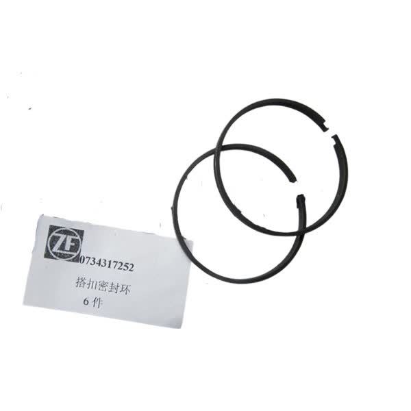 4110000076256 Sealing ring 0734317252