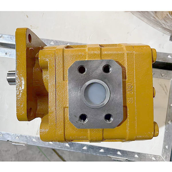 Loader Spare Parts Excavator Spare Parts Made in China Gear Pump CBGJ2080