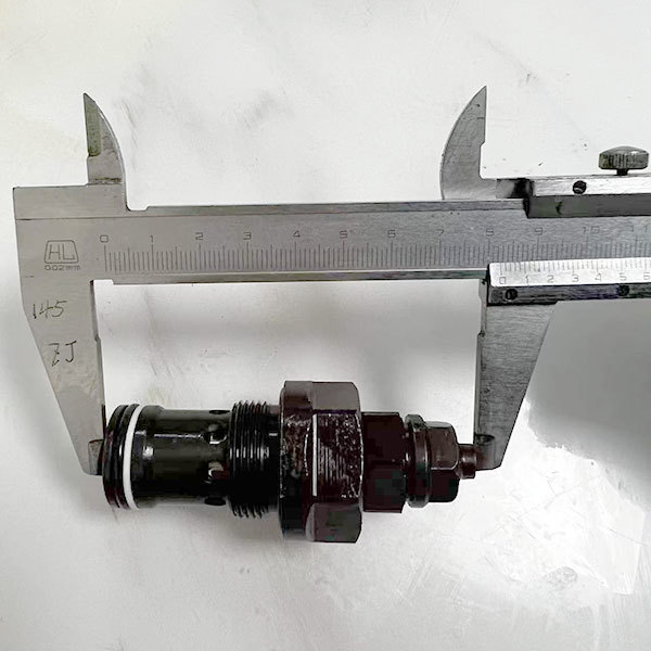 Loader Spare Parts Excavator Spare Parts Made in China Safety Valve CS21B01-XDYF20