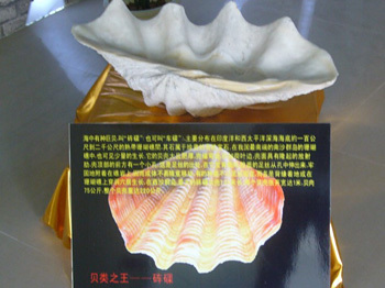 生物馆