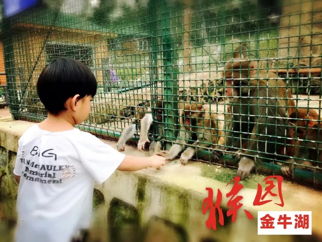 南京金牛湖旅游度假区管理委员会
